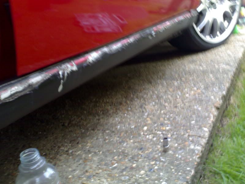 Removal of tiger seal and other sticky stuff Forums